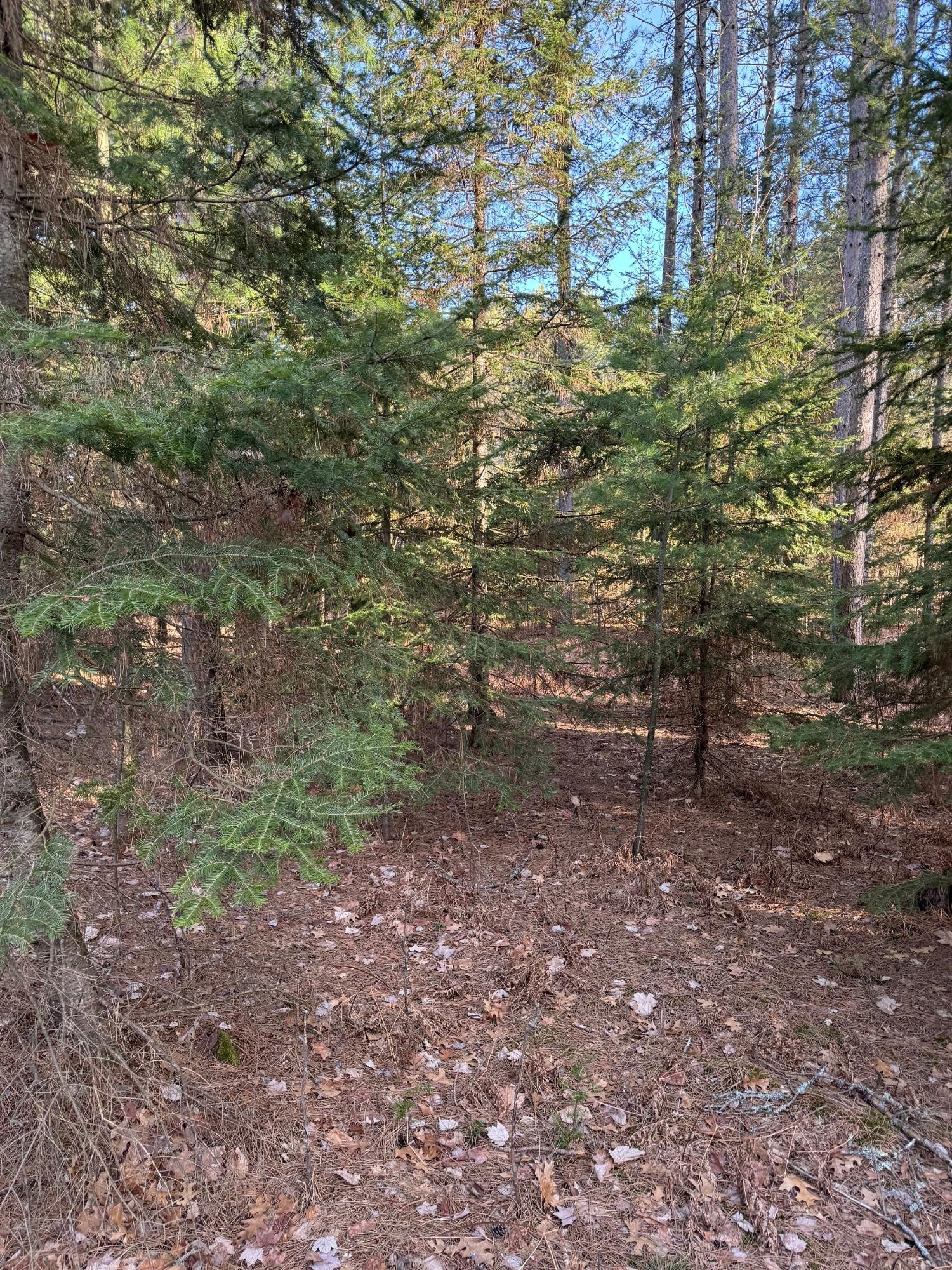 On Dyer Road, Unit LOT 28 Eagle River, WI 54521 - Photo 3 of 5 Gallery Image 3