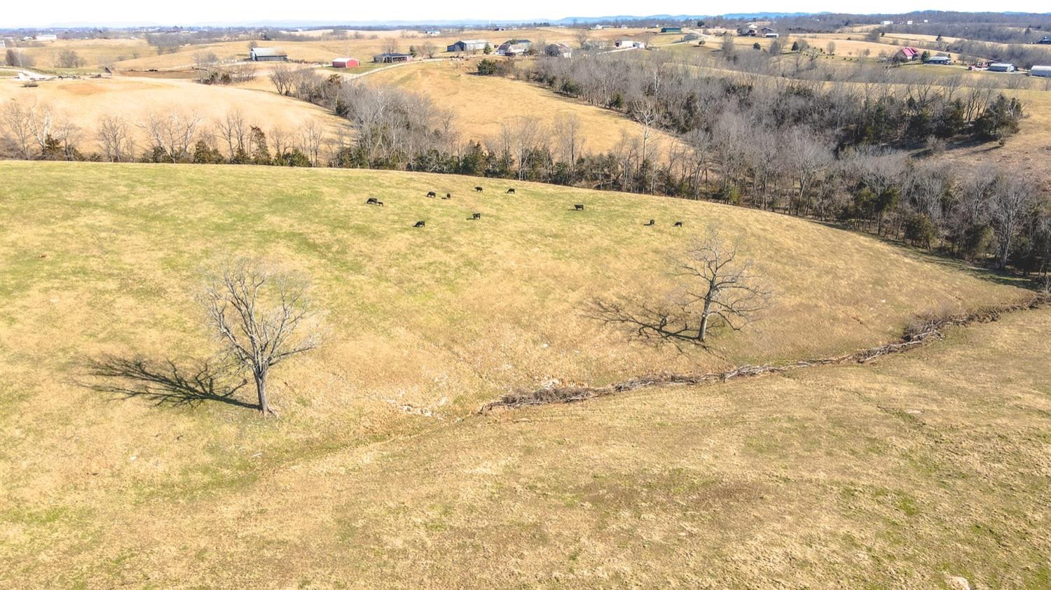 1837 Perry Rogers Road Lancaster, KY 40444 - Photo 41 of 61 Photo 41
