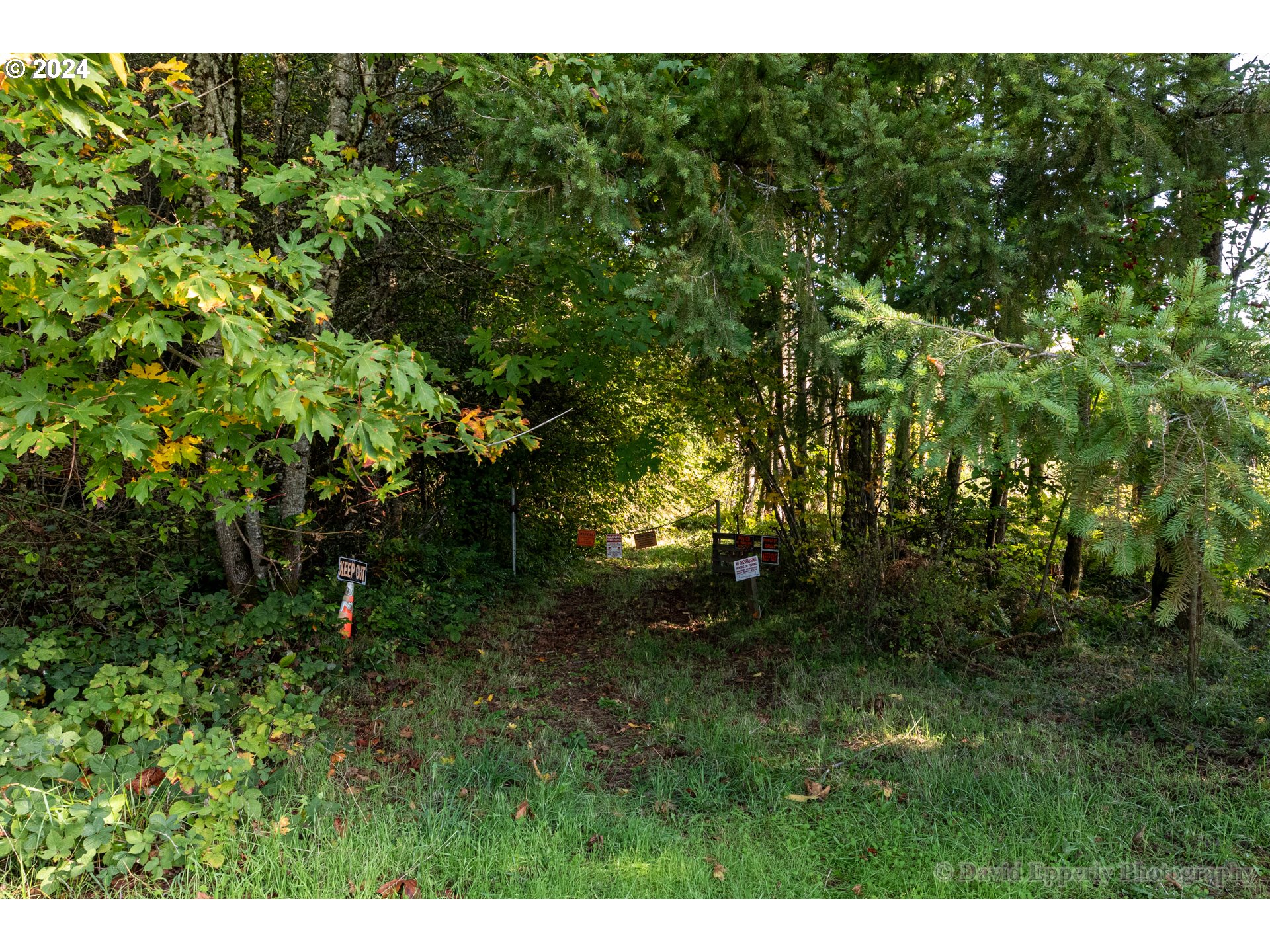0 Rays Way St. Helens, OR 97051 - Photo 4 of 16 Gallery Image 4
