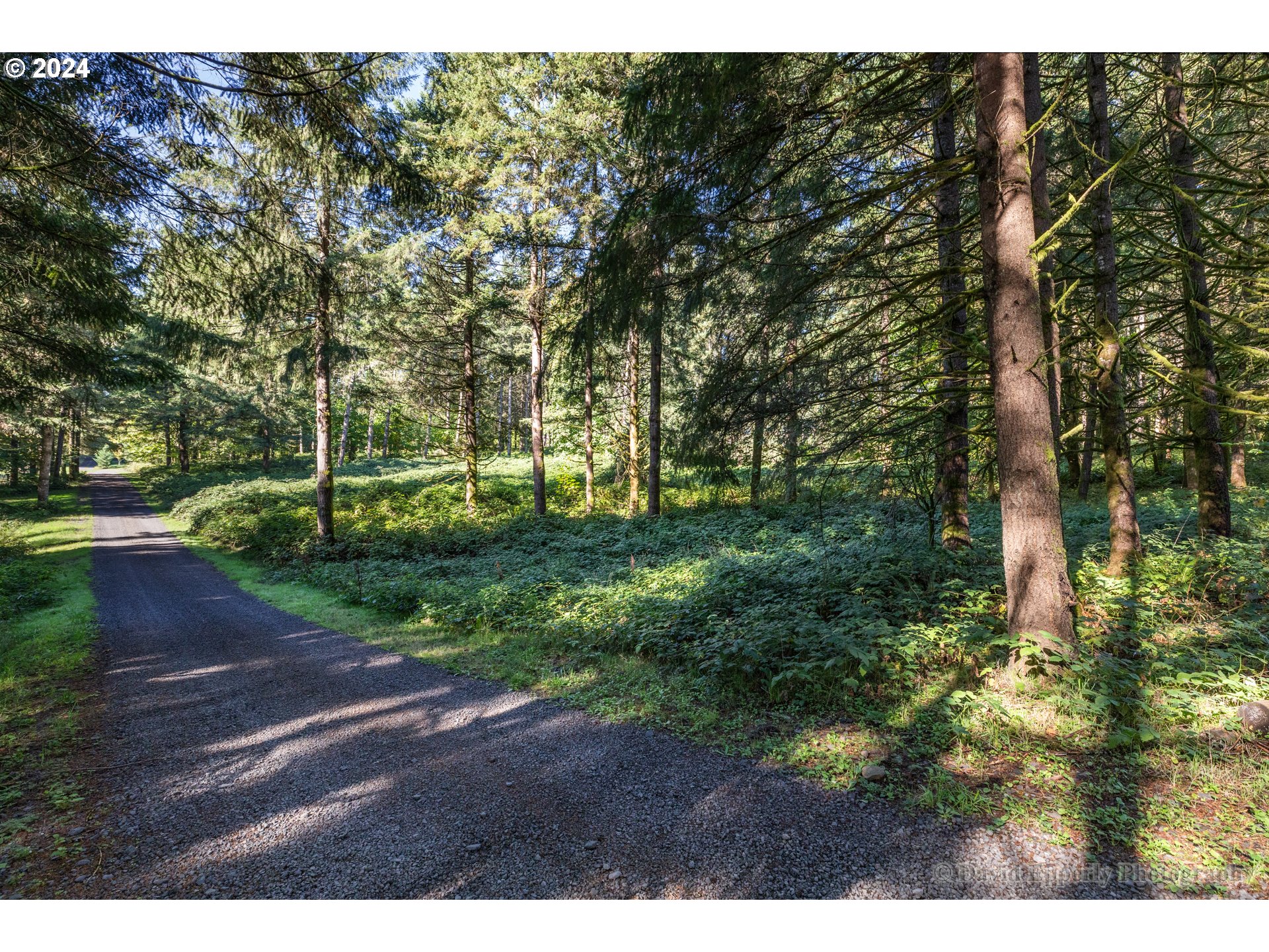 0 Rays Way St. Helens, OR 97051 - Photo 5 of 16 Gallery Image 5