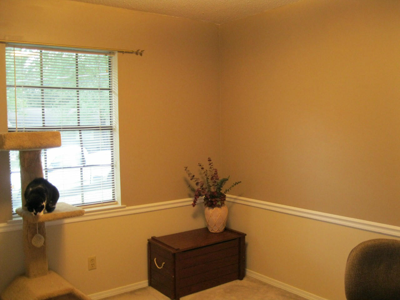 7116 Cane Hollow Road Hixson, TN 37343 - Photo 18 of 27 cane hollow 166 (1280x960)