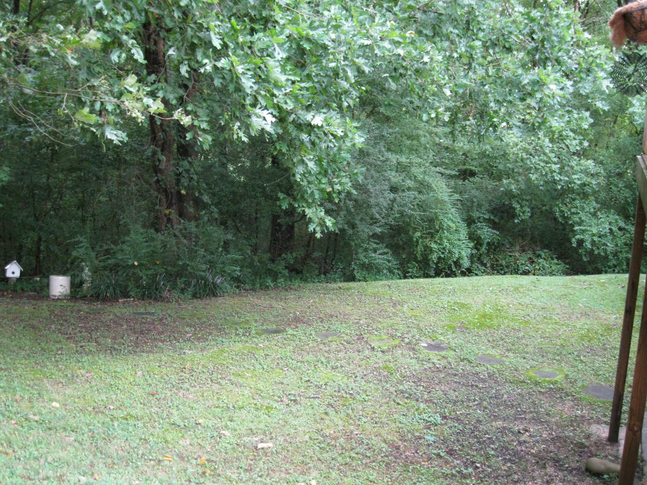 7116 Cane Hollow Road Hixson, TN 37343 - Photo 7 of 27 cane hollow 155 (1280x960)