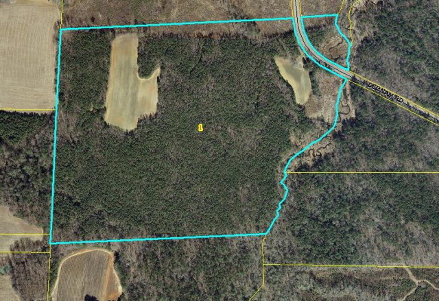 0 Debnam Road Zebulon, NC 27597 - Photo 1 of 1 Primary Photo