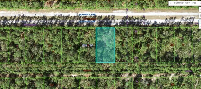$49,900 | 1103 Japonica Avenue, Indian Lake Estates, FL 33843