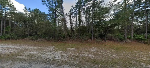$49,900 | 1103 Japonica Avenue, Indian Lake Estates, FL 33843