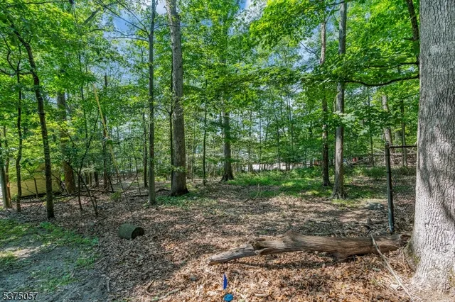 a view of a house with a yard and large tree