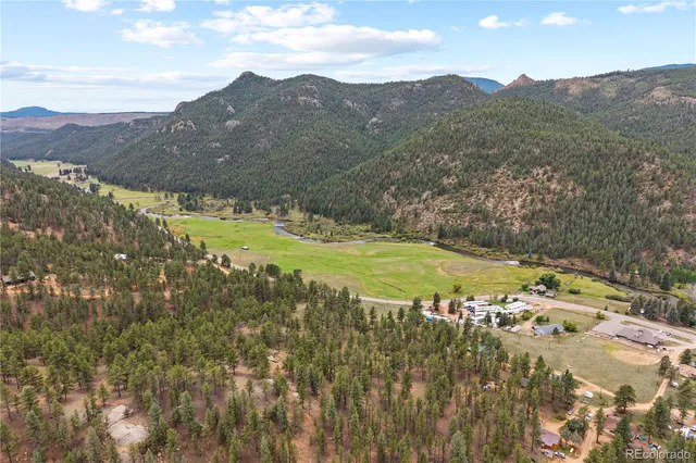 a view of a tree with a yard