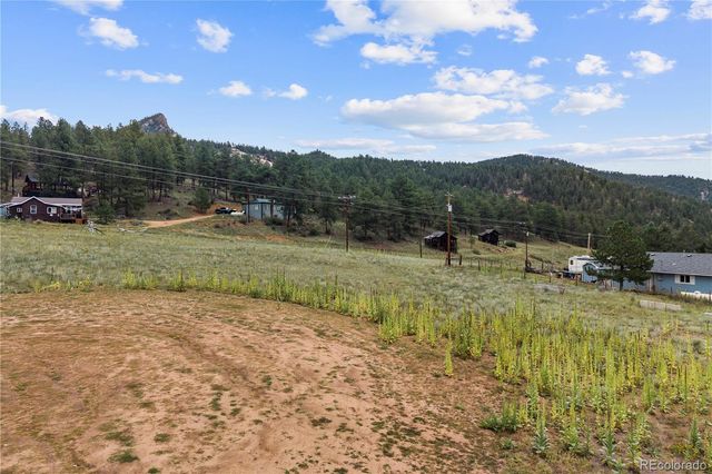 a view of a forest with trees