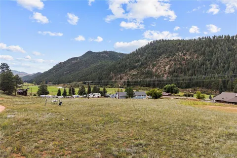a view of a forest filled with trees