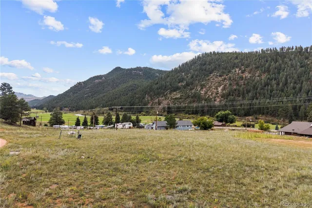 a view of a forest filled with trees
