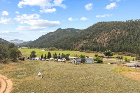 a view of a forest with trees in the background