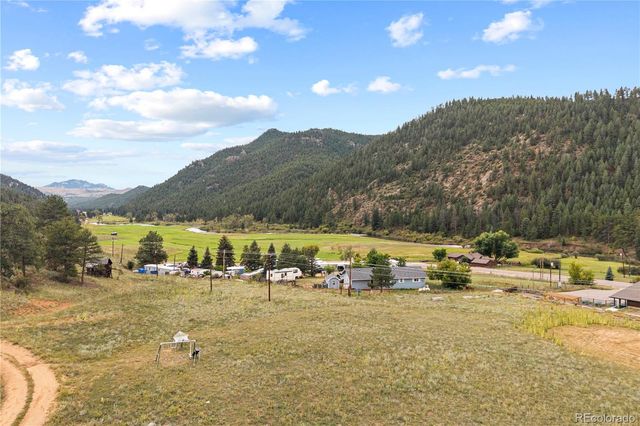 a view of a forest with trees in the background