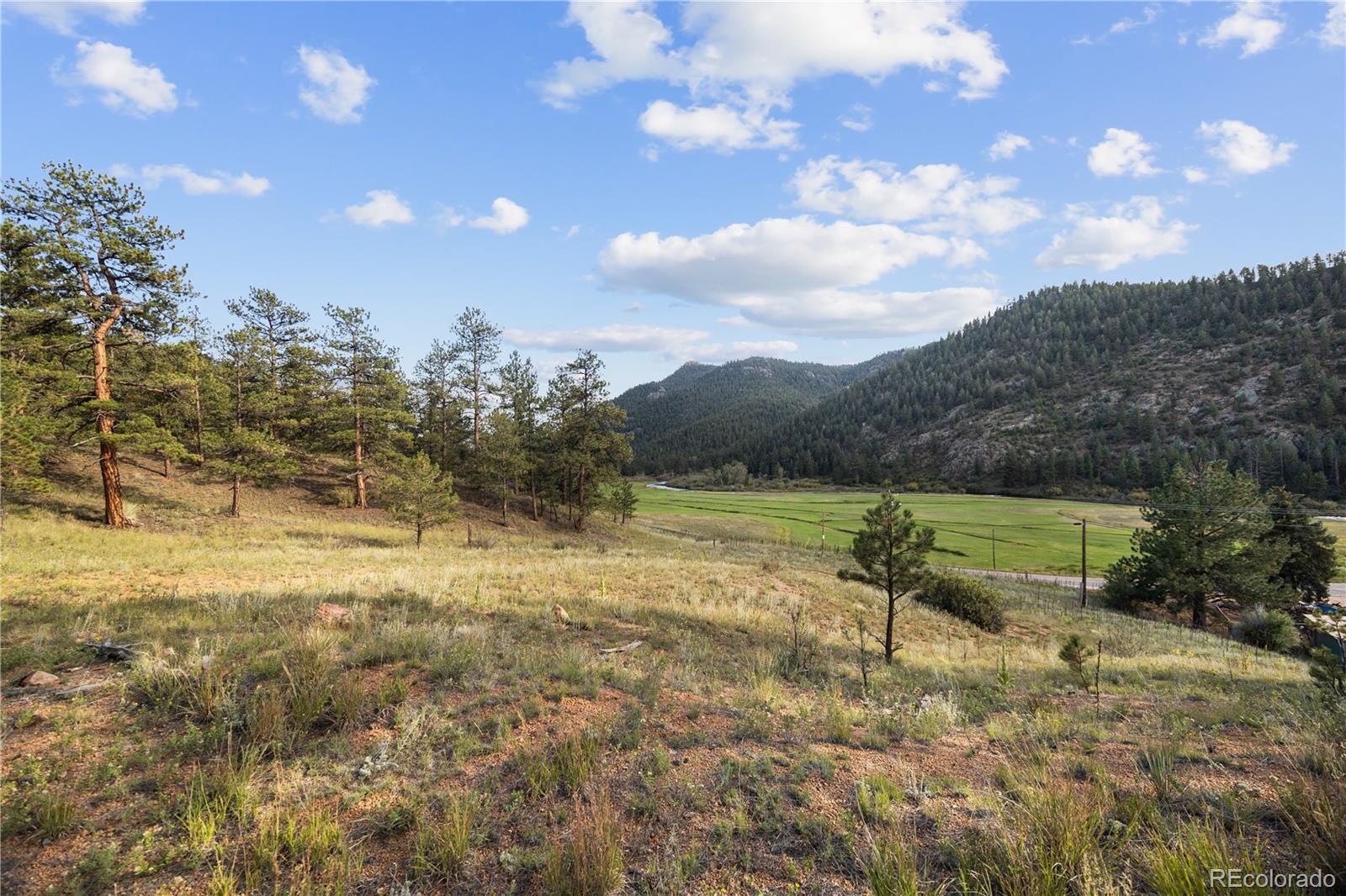 Brynmawr Rd Pine Pine, CO 80470 - Photo 22 of 45