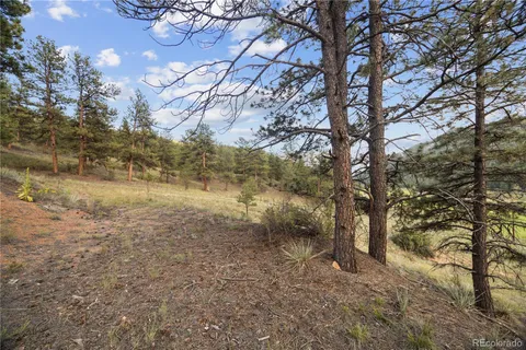 a view of a yard with plants and a wooden bench