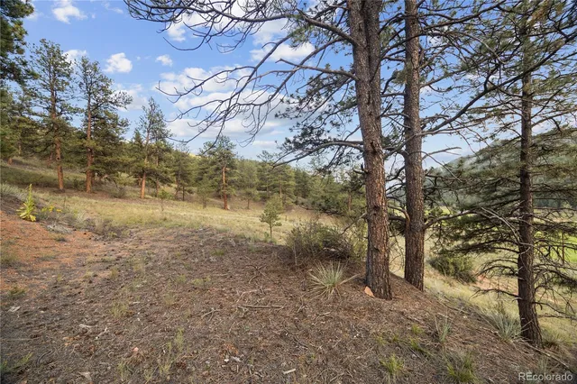a view of a yard with plants and a wooden bench
