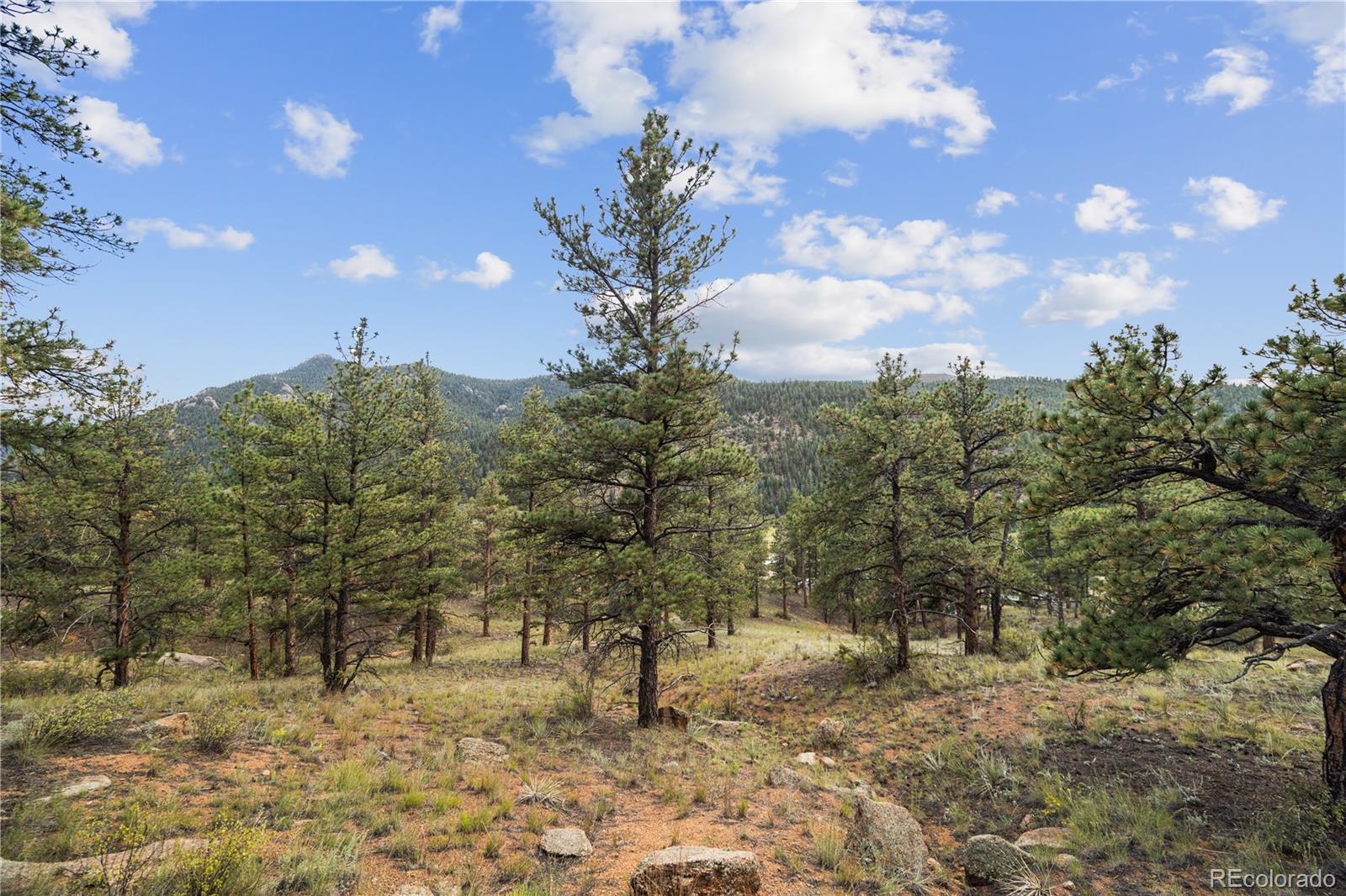 Brynmawr Rd Pine Pine, CO 80470 - Photo 25 of 45