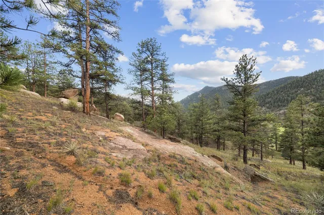 $250,000 | Brynmawr Rd Pine, Pine, CO 80470