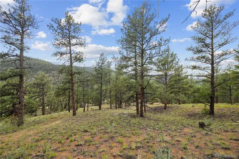 $250,000 | Brynmawr Rd Pine, Pine, CO 80470