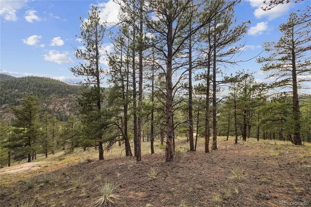 $250,000 | Brynmawr Rd Pine, Pine, CO 80470