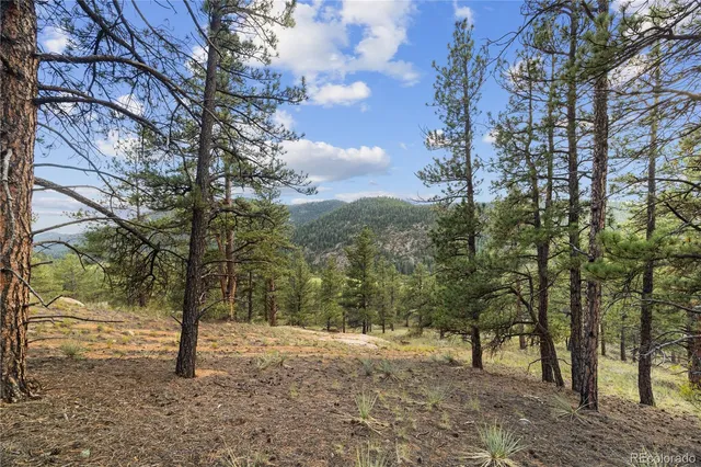 $250,000 | Brynmawr Rd Pine, Pine, CO 80470
