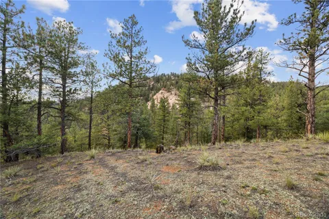 $250,000 | Brynmawr Rd Pine, Pine, CO 80470