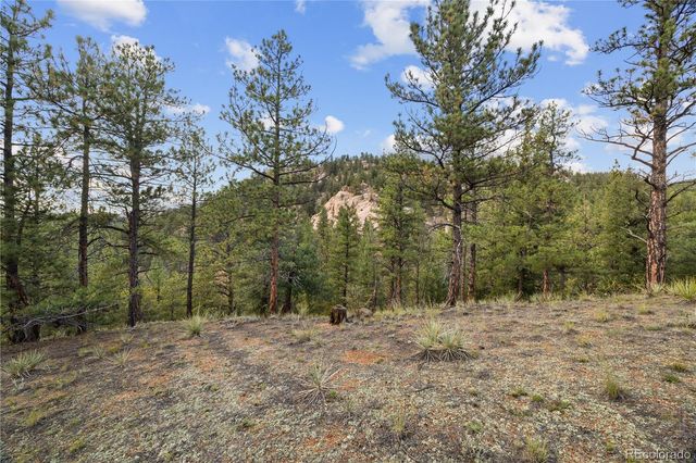 $250,000 | Brynmawr Rd Pine, Pine, CO 80470