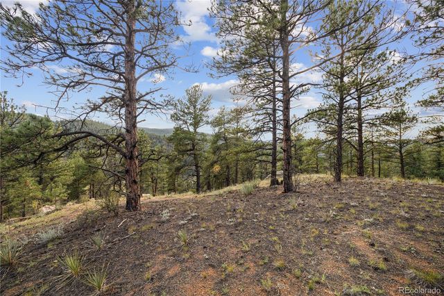 $250,000 | Brynmawr Rd Pine, Pine, CO 80470