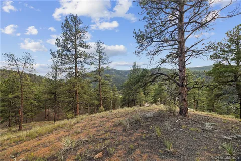 $250,000 | Brynmawr Rd Pine, Pine, CO 80470