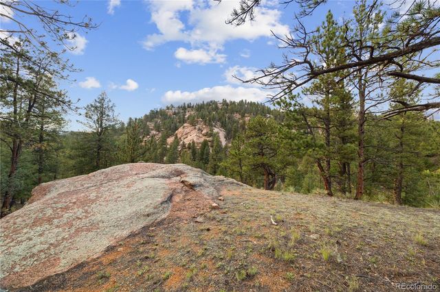 $250,000 | Brynmawr Rd Pine, Pine, CO 80470
