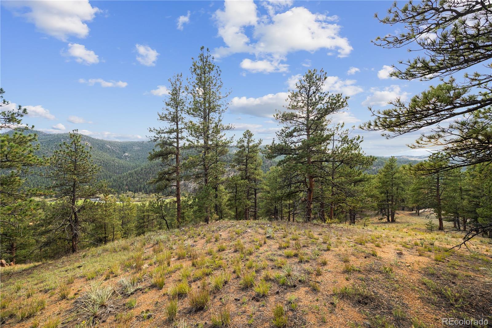 Brynmawr Rd Pine Pine, CO 80470 - Photo 36 of 45