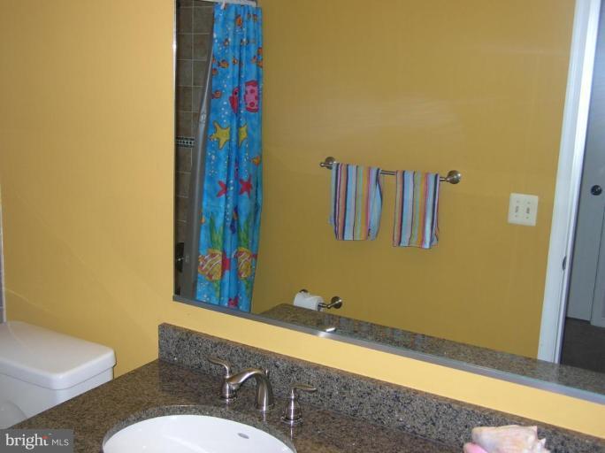 9709 Greenel Road Damascus, MD 20872 - Photo 17 of 23 Bath #2
