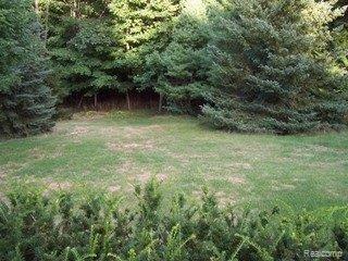 1530 Chevy Circuit Rochester, MI 48306 - Photo 22 of 25 view from deck (2)