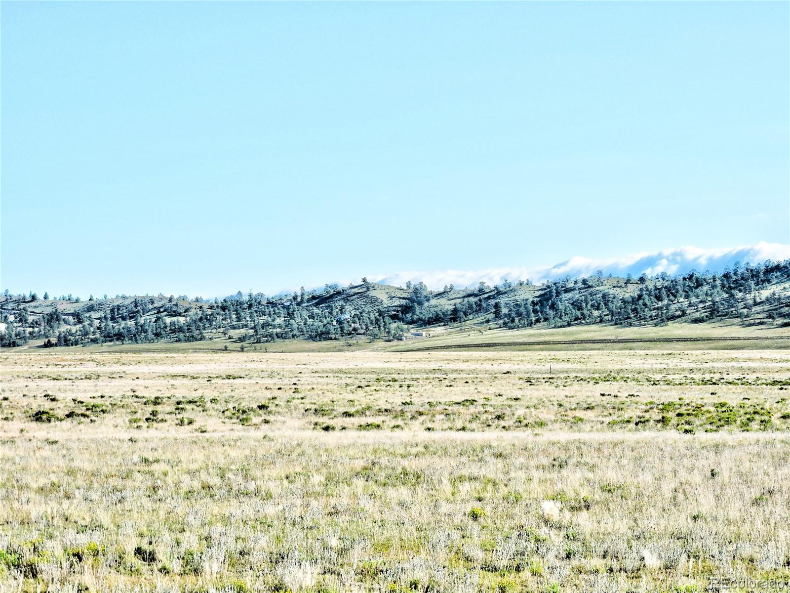4226 Jackson Road Hartsel, CO 80449 - Photo 8 of 17