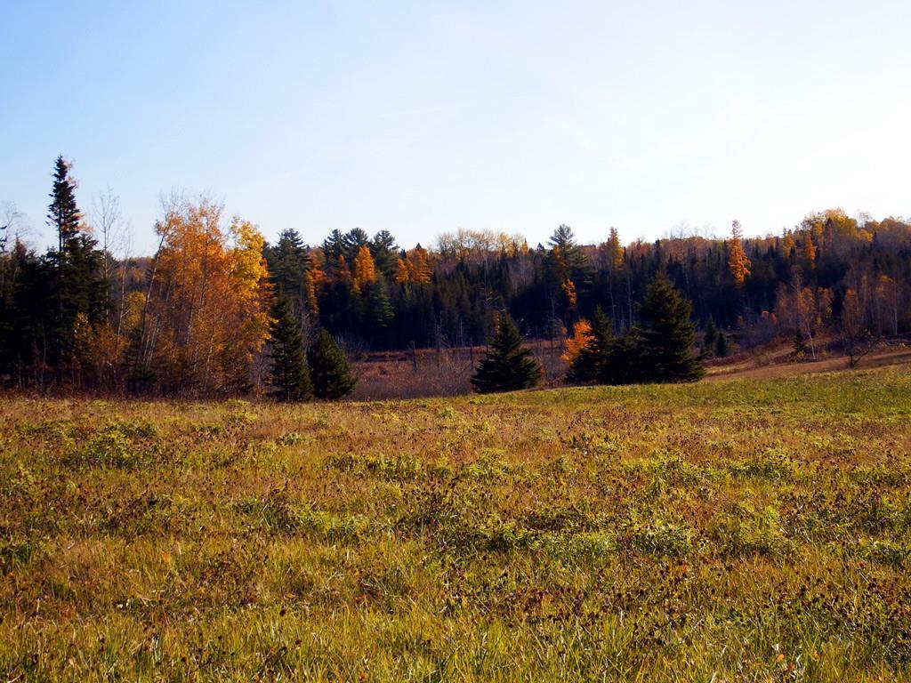 Lot 2 Foster Road Houlton, ME 04730 - Photo 21 of 23 Photo