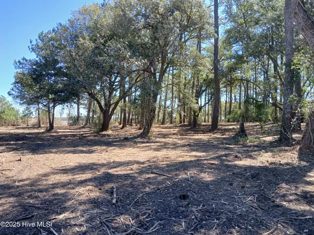 $469,500 | 1 Live Oak Drive, Bayboro, NC 28515