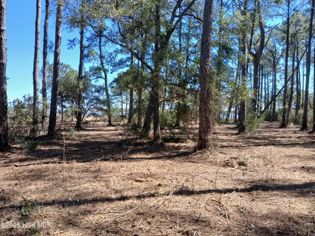 $469,500 | 1 Live Oak Drive, Bayboro, NC 28515