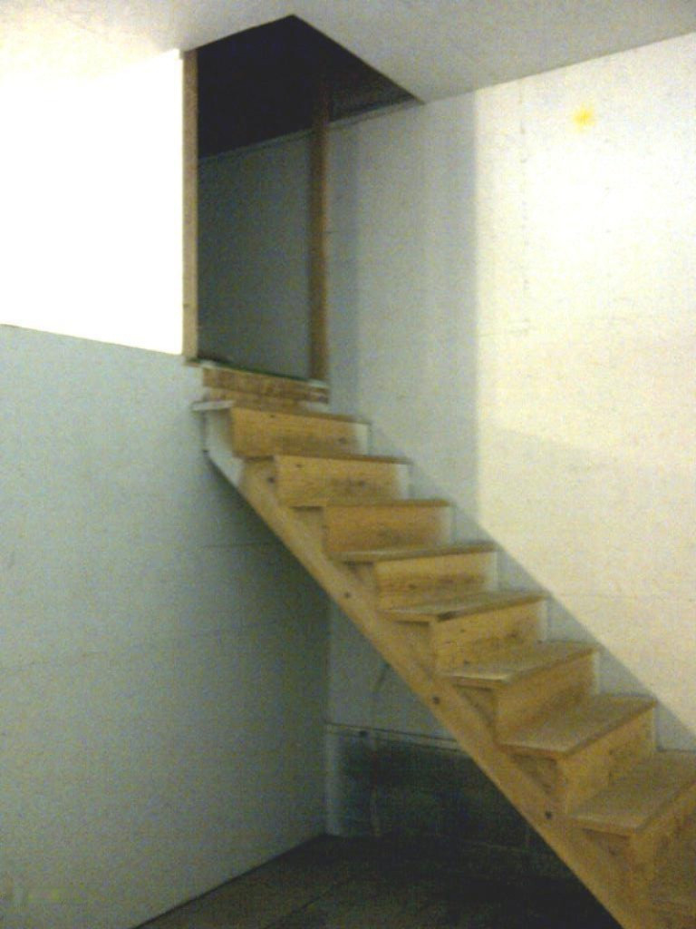 293 West Fruitvale Road Montague, MI 49437 - Photo 18 of 23 stairs in garage