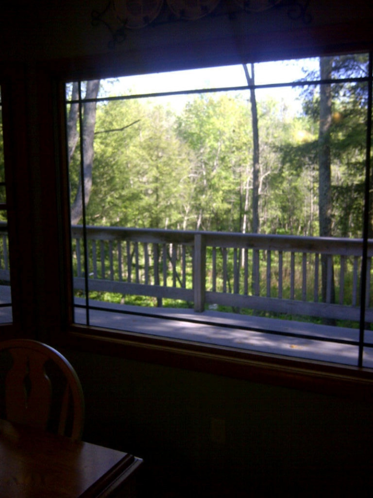 293 West Fruitvale Road Montague, MI 49437 - Photo 23 of 23 window view