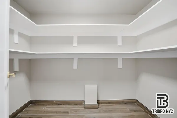 a view of an empty walk in closet
