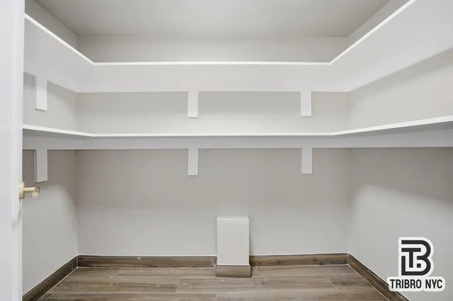 a view of an empty walk in closet