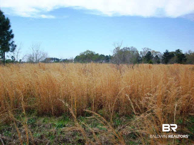 1900 Cowpen Creek Road Atmore, AL 36502 - Photo 1 of 1 Gallery Image 1