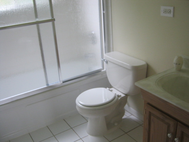 532 Spruce Road Bolingbrook, IL 60440 - Photo 13 of 21 a white toilet sitting next to a shower