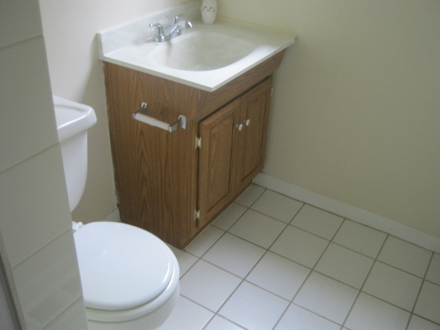 532 Spruce Road Bolingbrook, IL 60440 - Photo 15 of 21 a bathroom with a sink a toilet and mirror