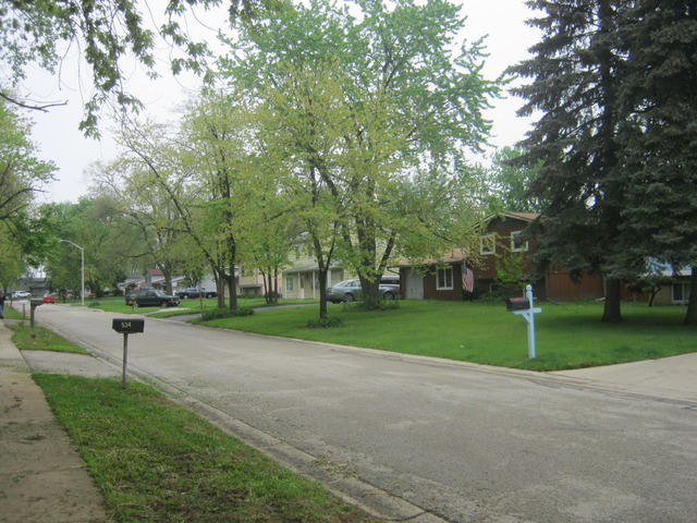 532 Spruce Road Bolingbrook, IL 60440 - Photo 20 of 21 a view of a park with large trees