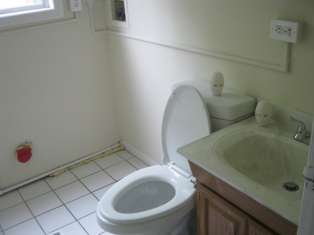 532 Spruce Road Bolingbrook, IL 60440 - Photo 4 of 21 a bathroom with a sink and toilet