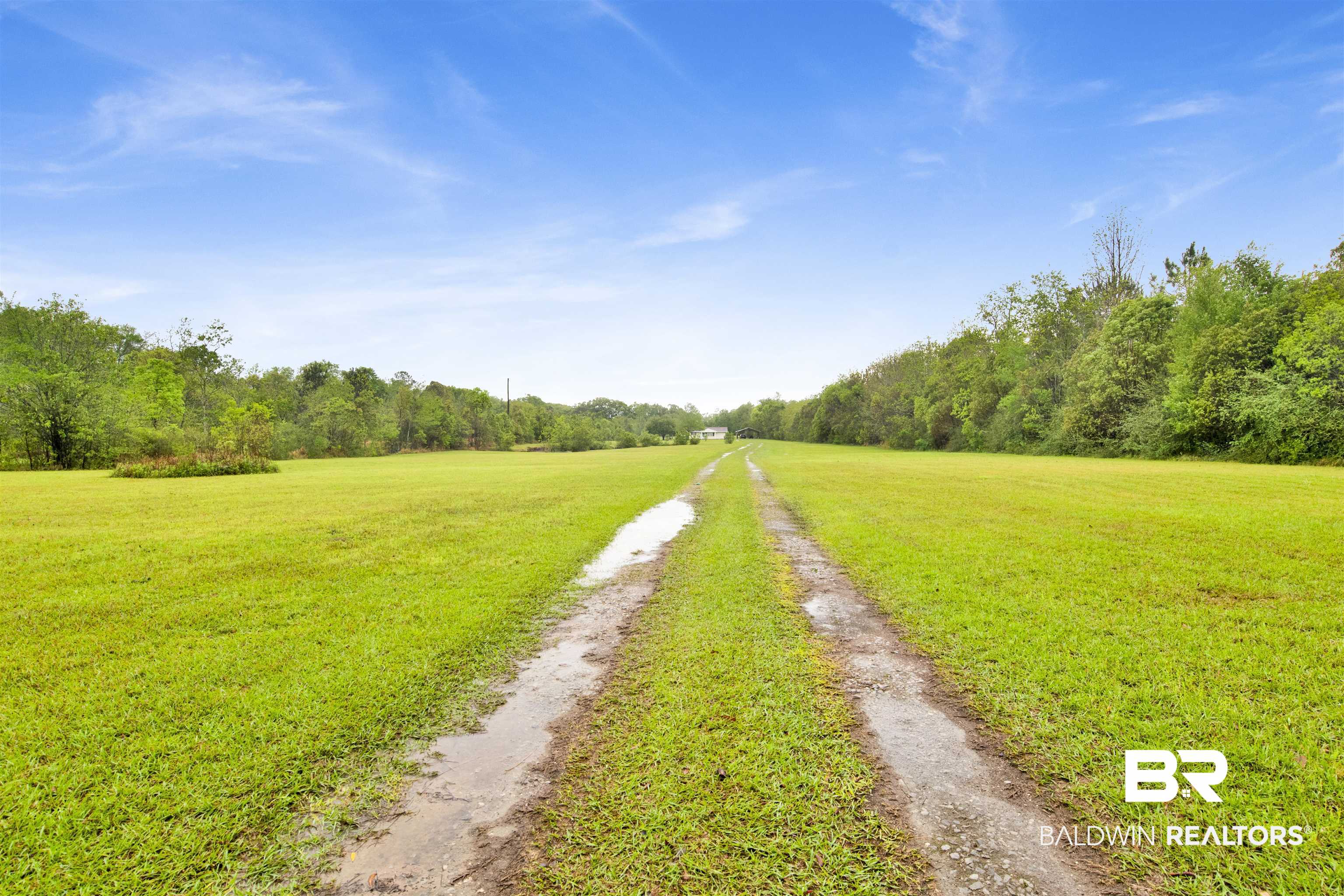 10244 Magnolia Road Irvington, AL 36544 - Photo 2 of 37 View of road with driveway and a wooded view
