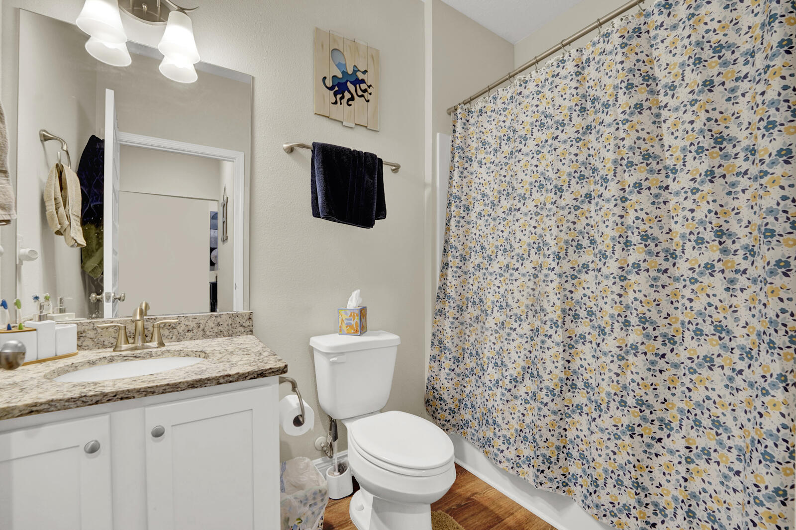 412 Lightning Bug Lane Freeport, FL 32439 - Photo 27 of 52 a bathroom with a granite countertop toilet sink and mirror