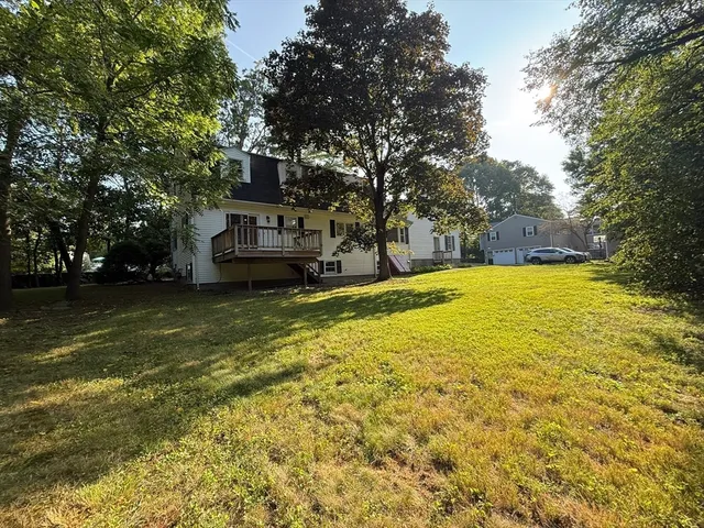 a view of a swimming pool with a yard and large trees