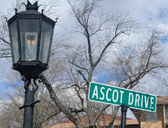 a view of a street sign under a large tree