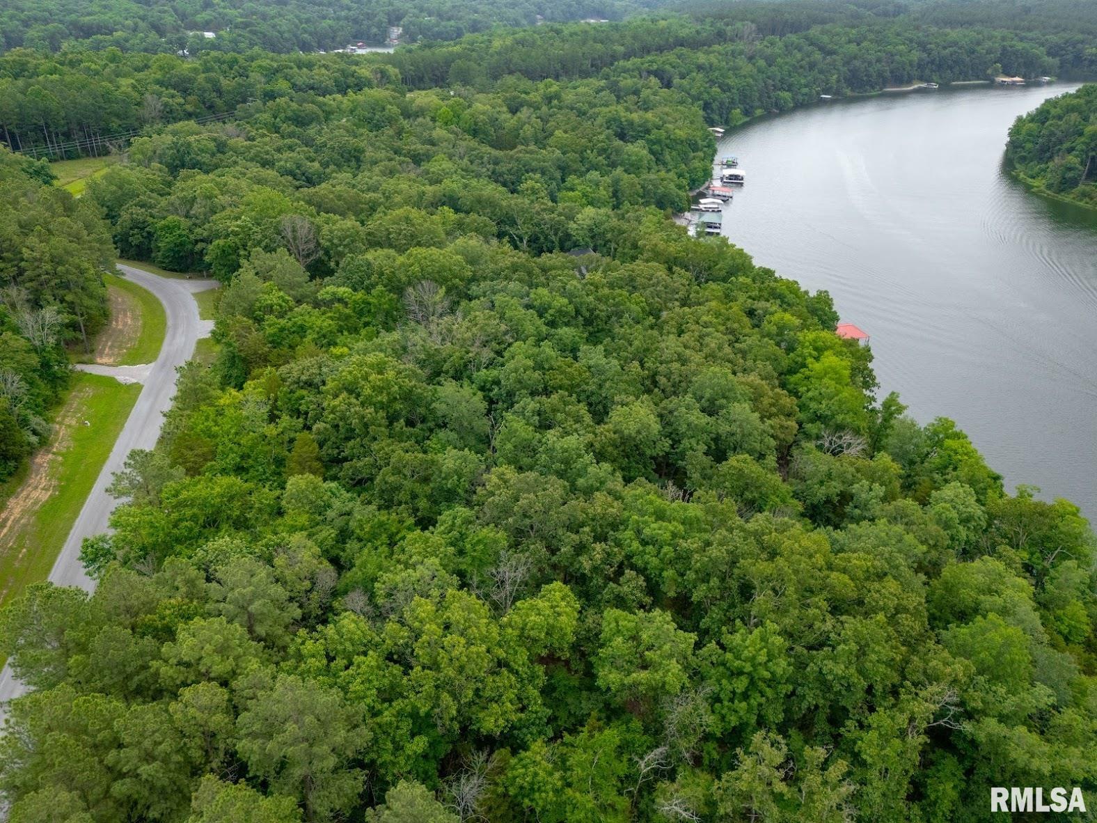 Lot 164 Parrish Ridge Lane Goreville, IL 62939 - Photo 11 of 17